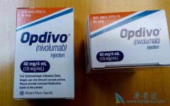 nivolumab�Բ��ʺ����������ڸ�ϸ�������߾��нϺ���Ч