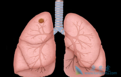 ӡ�����޿�/��������������Ч�Ͱ�ȫ�������������