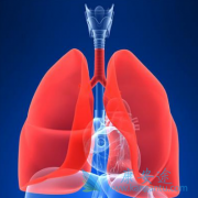 ӡ�����޿�(GRLONAT)�յ��ķζ��Լ�Ъ�Է���������ɳһ��