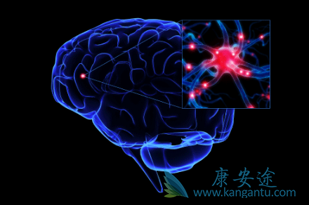 �����鵥��