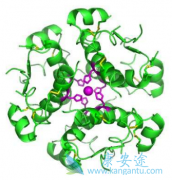 ��CD20ҩ������������(Rituximab)�ܼ���PBC���ߵ�ƣ��֢״��
