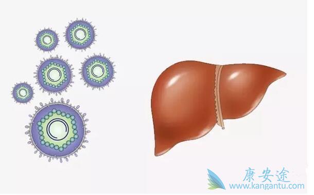 ���͸��ײ���