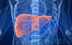 ���濨Τ��������Ҫ�������������Щ���棿