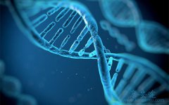 ���ڷΰ����Ǿ�����ѡ�ΰ����ƻ��ǻ��������Ʒ���