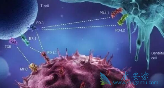 ��ķ����