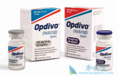 PD-1�������������ҩ���������Ƴ�Ϊ��֢����������