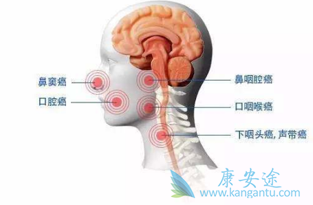 ��ķ����