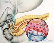 ���޿�(ERLOTINIB)���������ֻ�����ͻ������ٰ�����