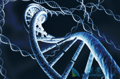 �෢�Թ�����������ν�������/�������׵���Ҫ������PN֢״