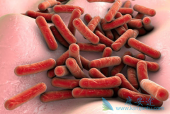 ��ͬʱ�ڸΰ������кβ�ͬ������Щ���ΰ�ҩ�