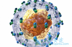 ҽ������ȥӡ�Ȱ�����ҽԺ���ο���������