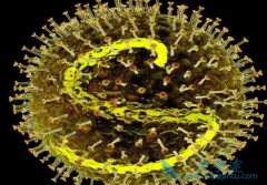 �����Ʊ��εķ������������ҹ�����������Ʒ���