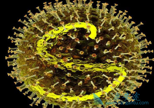 ����������Ʒ���