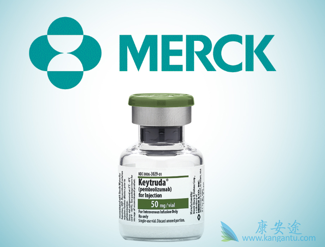 免疫检查点抑制剂 免疫检查点抑制剂