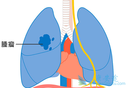 ��ϣ����