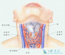 ��״������֢״���ٴ����ּ�Ԥ����ʩ