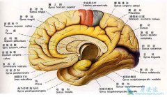 ������������֮����ע��ľŴ�ע������