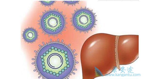 乙肝常识 乙肝常识