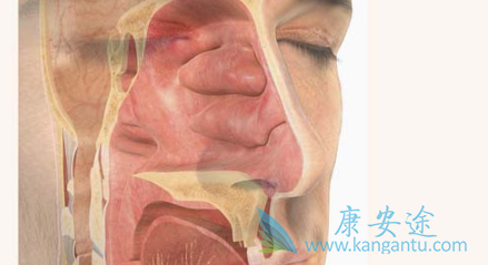 ���ʰ�����