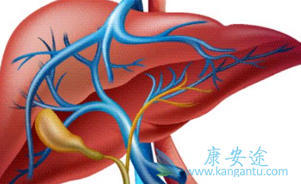 �ΰ�������