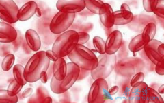 Ϊʲô����(Revlimid)���Գ�Ϊ�෢�Թ�������һ���Ƽ���ҩ