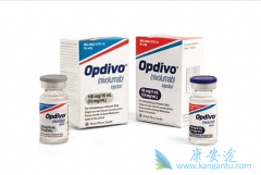 PD-1�����������Ʒ����Ƹ�ϸ������Ч����ô����