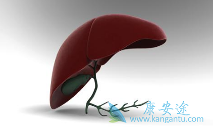 ���͸���