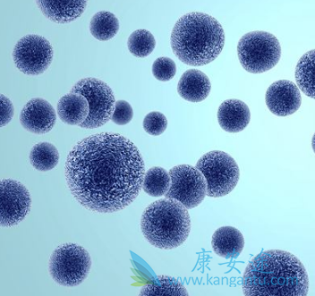 ��ҩ���α�����