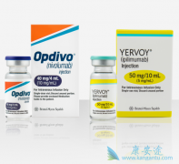 PD-1���Ƽ�ŷ���֣�Opdivo����������ʱ�� ŷ���ֿ���������Щ��֢