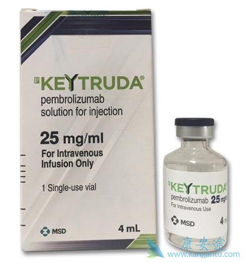 PD-1单抗 PD-1单抗