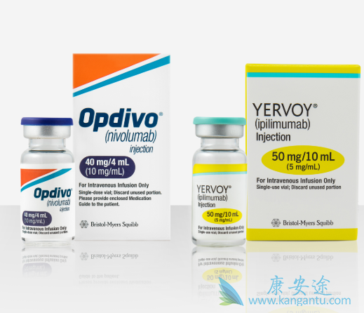PD-1单抗 PD-1单抗