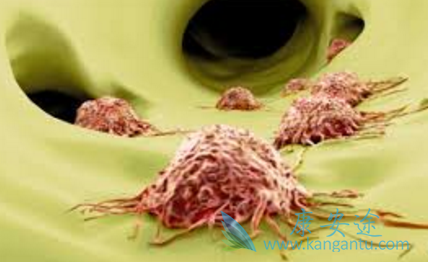 阿那曲唑 阿那曲唑