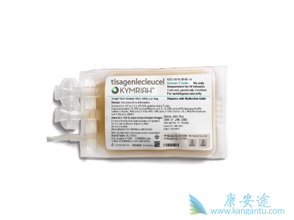 CAR-T疗法 CAR-T疗法