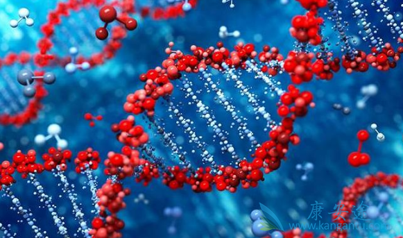 阿那曲唑 阿那曲唑