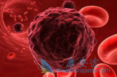 ������ĸ�׷���������(Arimidex)��Ӧֹͣι��������