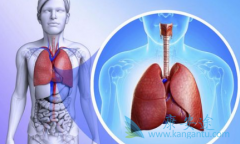 ��������(AFATINIB)���ҹ�EGFRͻ��ΰ����ߺ��۰����ߵ���ѡҩ��