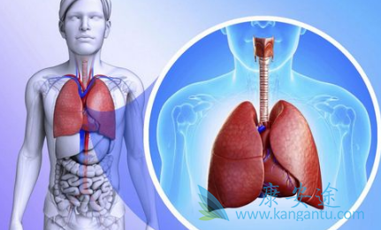 阿法替尼 阿法替尼