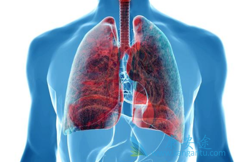 阿法替尼 阿法替尼