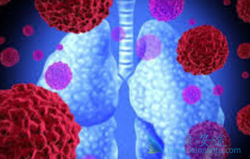 阿法替尼 阿法替尼