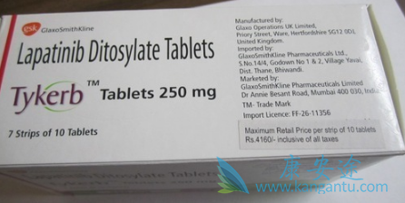 拉帕替尼 拉帕替尼