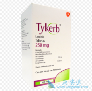��������(TYKERB)/̩��ɳ������HER2����θʳ�ܰ���