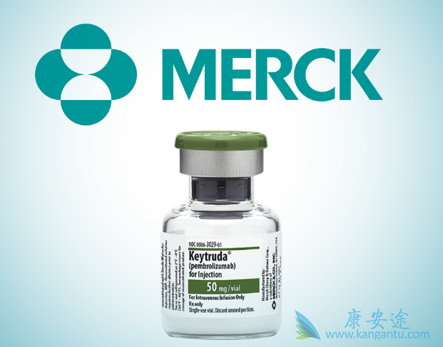 PD-1抗体 PD-1抗体