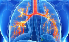 ��������(Pemetrexed)������ǿ����������������������