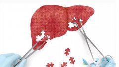 �Ҹα��濹�����Ժ��Ҹα��濹�������Էֱ����ʲô����