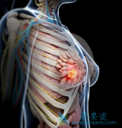 �ӳ���¡������Ƭ(Letrozole)����ʱ�����߻��ߵ��޽�չ������