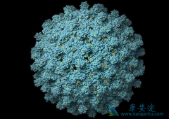 �Ҹ���ҩ�ָ��������������Ҹε�ҩ����ʲô��ͬ