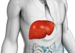 �����Ҹλ���ʲôʱ����Թ����Ҹ���ҩ�ָ���