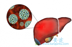 �Ҹ���ҩ�ָ��ܿ��Դ����������Ҹλ��߸�Ӳ���͸ΰ��ķ���