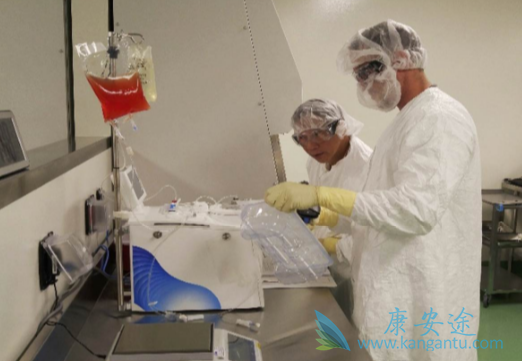 CAR-T细胞疗法 CAR-T细胞疗法