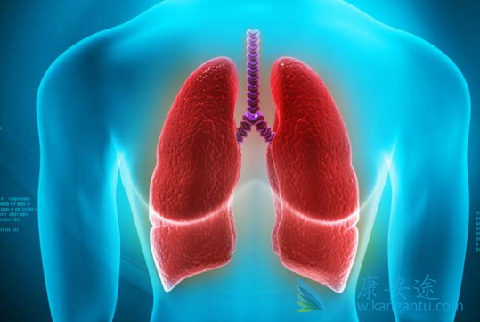 色瑞替尼 色瑞替尼